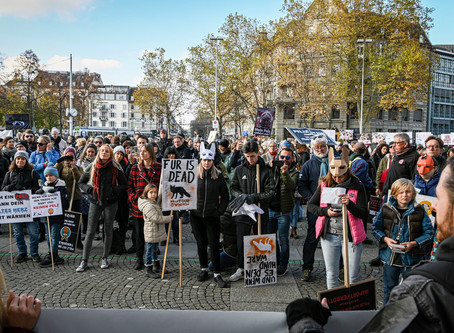 Why we march against fur (English)