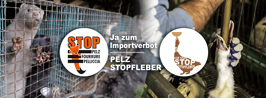 2022-03-cover-fb-pelz-stopfleber-de.png