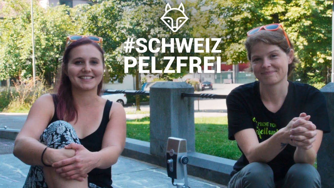 Unser erstes Crowdfunding: Ein Riesenerfolg!